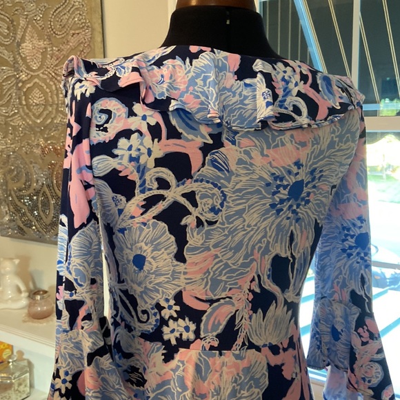 Beautiful Lilly P Dress - Picture 6 of 8